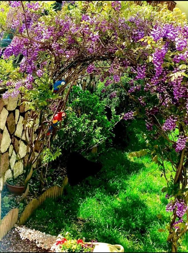 Bella Vista Daire Canal San Bovo Dış mekan fotoğraf