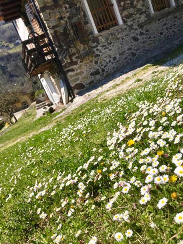 Bella Vista Daire Canal San Bovo Dış mekan fotoğraf