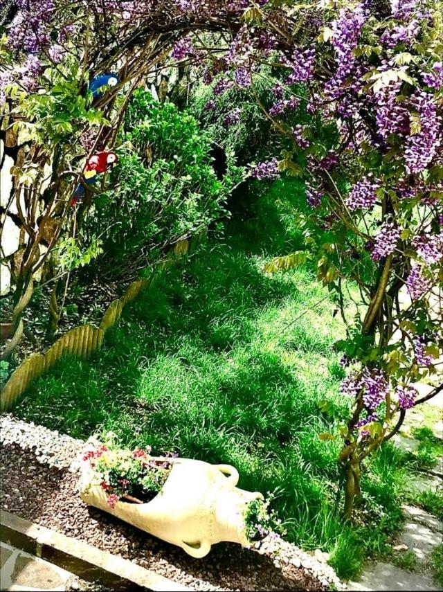Bella Vista Daire Canal San Bovo Dış mekan fotoğraf