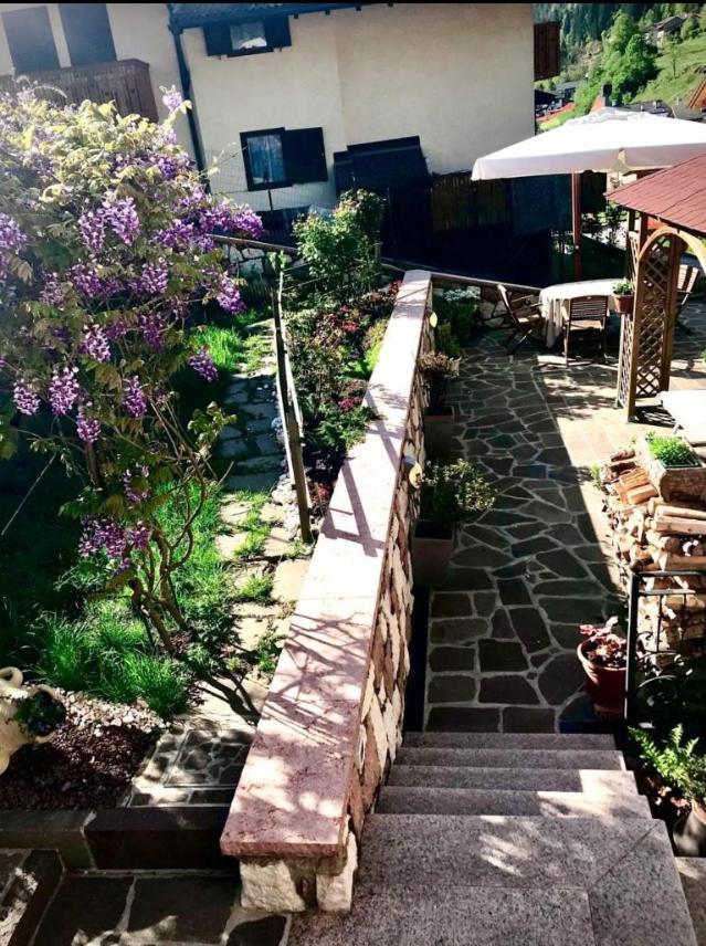 Bella Vista Daire Canal San Bovo Dış mekan fotoğraf